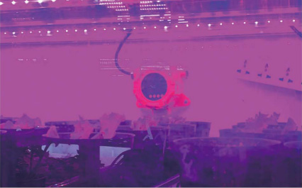 江西省蔬菜大棚氣體監測